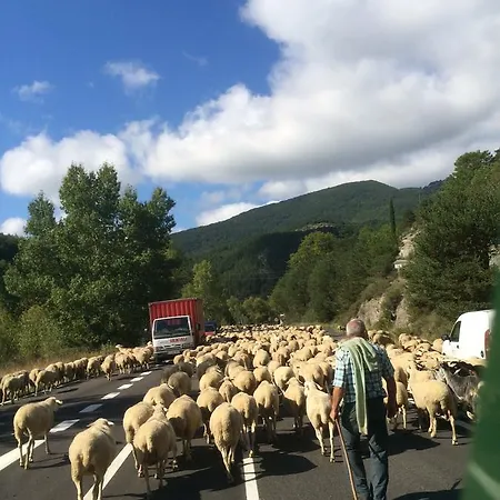 D'hotes Ferme De Gayri 住宿加早餐酒店 *